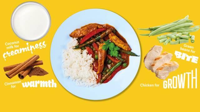 Baby’s first chicken curry